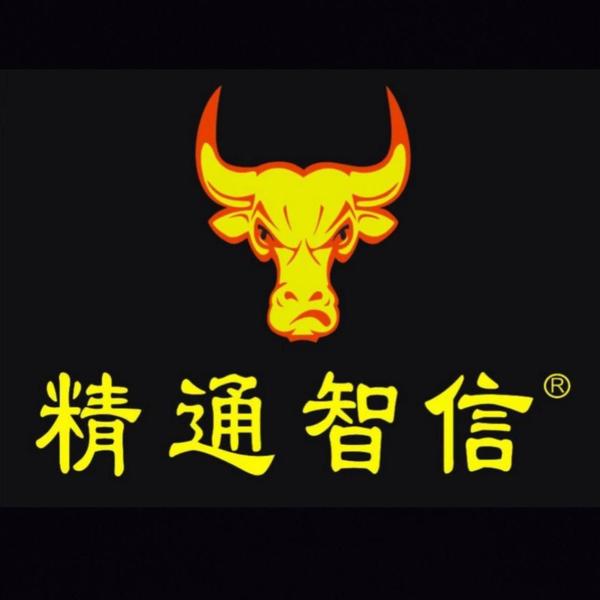 精通智信汽车服务中心头像