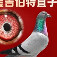 需要一台领克05头像