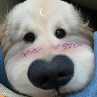 用户8686704613990头像