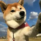 用户849458212191头像