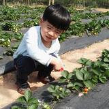 高杰9285头像