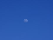 Sirius爱学习45028的个人资料头像