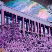 寒塘花魂的个人资料头像