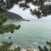 蝎子王416的个人资料头像