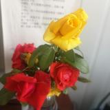 用户8562467817430头像