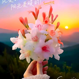 聋哑说不会头像