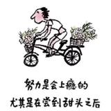 梦幻山丘JM头像