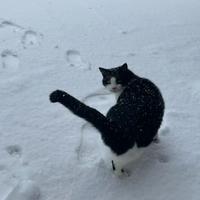 用户4181998374798头像