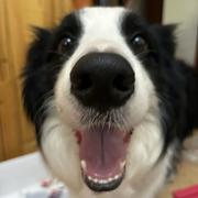 JasonLi的个人资料头像