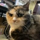 反香菜联盟的个人资料头像