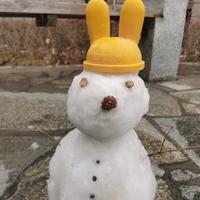 泰山大汉哥头像