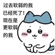 蛋炒蛋的个人资料头像