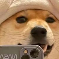 用户6937387094653头像