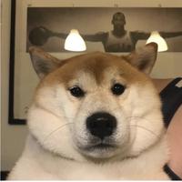 盖尔古德里奇头像