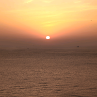 好的柿会花生头像