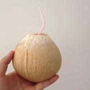 樊樊樊樊樊的个人资料头像