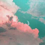 玉姐会上树的个人资料头像