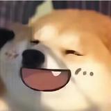 用户9817984526275头像