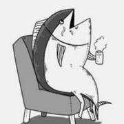 尽辞的个人资料头像