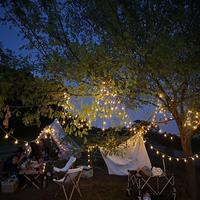 不凡小猫uAL头像