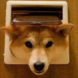 不同角度看世界yyds头像