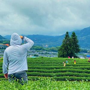 胖胖的台湾茶农阿竹头像