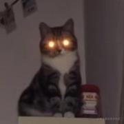 欧拉欧拉的个人资料头像