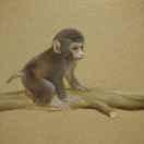 神奇start的个人资料头像