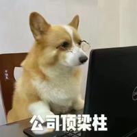 用户4049136860070头像