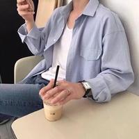 窗前的土狗珂头像