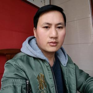 飞奔的马头像
