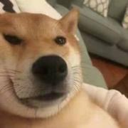 史建芳的个人资料头像