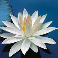 开心就好21252265头像