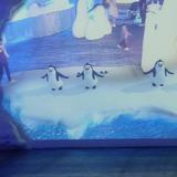 海亮唐头像