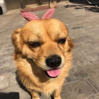 用户4392295109270头像