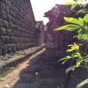 shufeng的个人资料头像