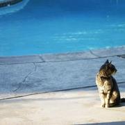 将军霸91的个人资料头像