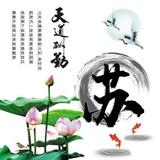 专业二手高端瑕疵机头像