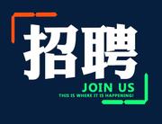 招聘IT讲师的个人资料头像