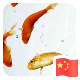 迷途人生652头像