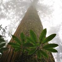 用户4396221906625头像