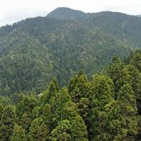 游走在天地间头像