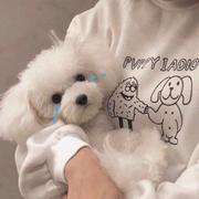 soso聊编程的个人资料头像