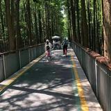 在路上看远方的大海头像