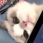 Longer的个人资料头像