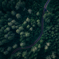 旅行家辛集3v8头像