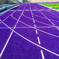 河南信阳球场跑道施工队汪头像