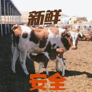 阿光牛肉生鲜头像