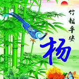 杨勇6781头像