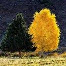 一起南下的个人资料头像